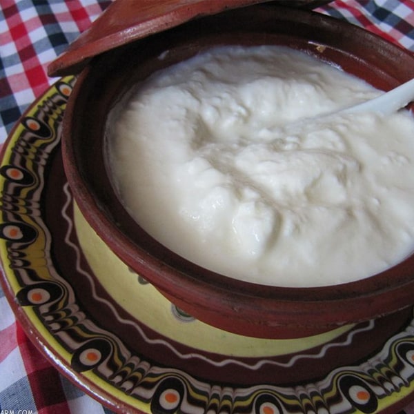 نحوه نگهداری از ماست در یخچال های خانگی مدت ماندگاری ماست پاستوریزه مدت زمان نگهداری ماست در فریزر نگهداری ماست چکیده در فریزر نگهداری ماست در ظروف استیل نحوه نگهداری ماست چکیده ماندگاری ماست محلی در یخچال از کجا بفهمیم ماست خراب شده نگهداری خیک ماست lhsj