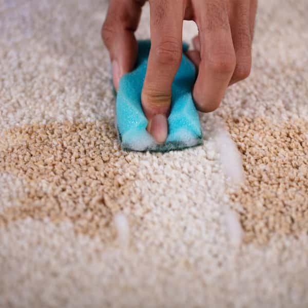 تکنیک ساده و در دسترس پاک کردن لکه چای روی فرش لکه چای روی فرش دستباف لکه روی فرش کرمی پاک کردن لکه قدیمی از روی فرش از بین بردن لکه چای روی فرش با جوش شیرین پاک کردن لکه چای از روی فرش با نمک