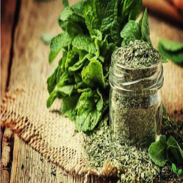 طرز تهیه نعنا خشک+ علت سیاه شدن نعنا خشک علت سیاه شدن نعناع خشک چیست  روش نگهداری نعناع خشک  چگونه نعناع را خشک کنیم که سیاه نشود  علت سیاه شدن سبزی خشک  طرز خشک کردن نعناع روی بخاری