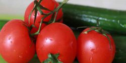ترفند نگهداری گوجه و خیار در یخچال برای طولانی مدت