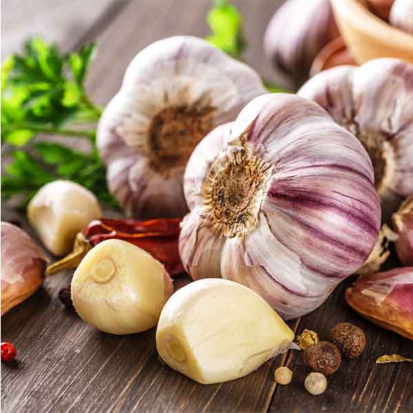 نگهداری طولانی مدت سیر در کابینت بدون تغییر مزه نگهداری سیر در بطری نوشابه  نگهداری سیر در نمک   نحوه نگهداری سیر خشک در فریزر  نگهداری سیر   نگهداری سیر تازه در شیشه