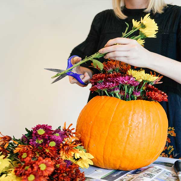 آموزش ساخت گلدان با کدو حلوایی برای دیزاین شب یلدا طرز خالی کردن کدو حلوایی ساخت گلدان با کدو تنبل ساخت گلدان با کدو گلدان کدو 'gnhk ;n, Making a pot with pumpkin