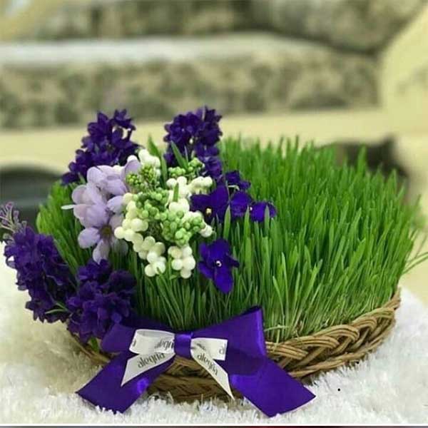 مدل سبزه عید برای عروس + مدل سبزه عید ۱۴۰۲ عکس سبزه عید خانگی عکس سبزه فانتزی انواع سبزه عید فانتزی عکس سبزه و درخت نقاشی سبزه فانتزی
