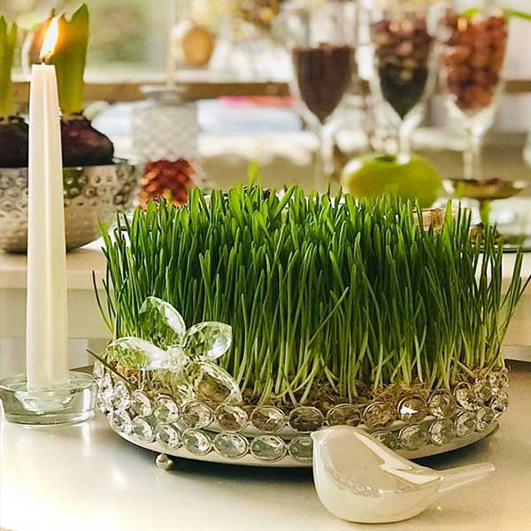 مدل سبزه عید برای عروس + مدل سبزه عید ۱۴۰۲ عکس سبزه عید خانگی عکس سبزه فانتزی انواع سبزه عید فانتزی عکس سبزه و درخت نقاشی سبزه فانتزی