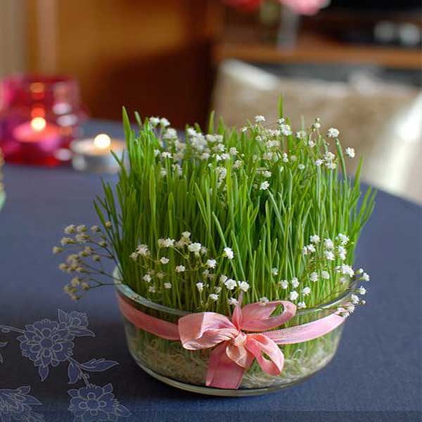 مدل سبزه عید برای عروس + مدل سبزه عید ۱۴۰۲ عکس سبزه عید خانگی عکس سبزه فانتزی انواع سبزه عید فانتزی عکس سبزه و درخت نقاشی سبزه فانتزی