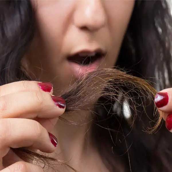 علت موخوره و درمان آن در خانه + چرا موهای من در نوک میشکند؟ علت موخوره کمبود کدام ویتامین است قاتل موخوره درمان موخوره علت موخوره چیست  درمان خانگی موخوره اگر موخوره را کوتاه نکنیم چه میشود پیشگیری از موخوره 