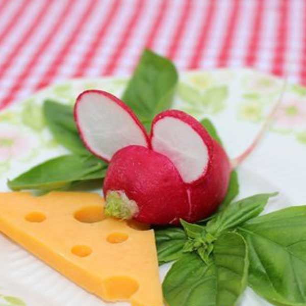 آموزش تزئین تربچه با ایده های جالب و آسان برای میز پذیرایی تزیین تربچه به شکل گل لاله تزیین تربچه سبزی خوردن تزیین تربچه مجلسی تزیین تربچه به روش ساده آموزش تزیین تربچه و پیازچه تزیین پیازچه تزیین تربچه با چاقو ساده Radish decoration jcddk jvf]i  