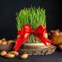 آموزش سبزه عید با گندم + روش رشد سریع سبزه گندم و زمان کاشت
