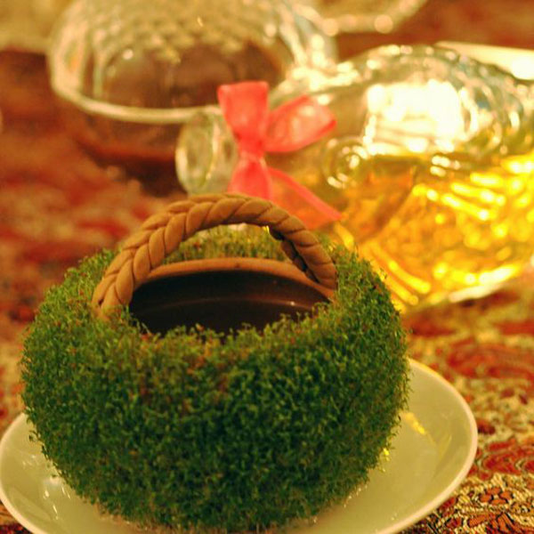 مدل سبزه عید مدل سبزه عید ۱۴۰۲ عکس سبزه عید خانگی عکس سبزه فانتزی سبزه عروسکی با بطری نوشابه انواع سبزه عید با بذرهای مختلف