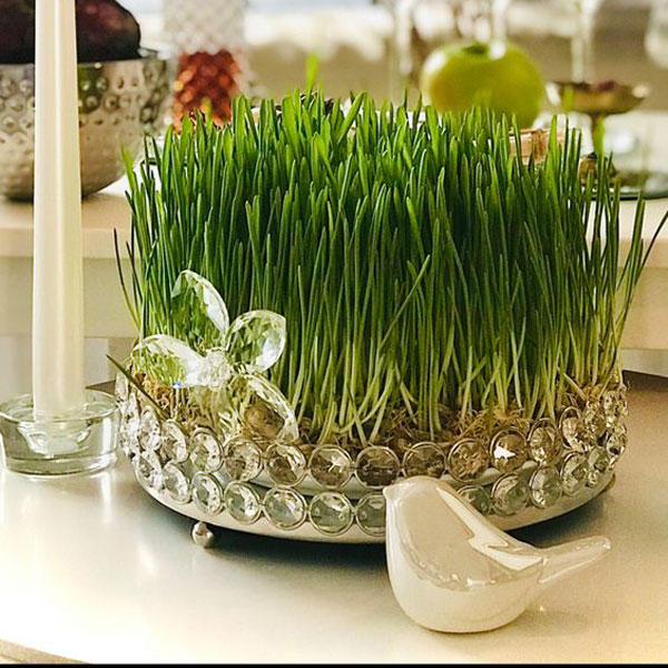 مدل سبزه عید مدل سبزه عید ۱۴۰۲ عکس سبزه عید خانگی عکس سبزه فانتزی سبزه عروسکی با بطری نوشابه انواع سبزه عید با بذرهای مختلف