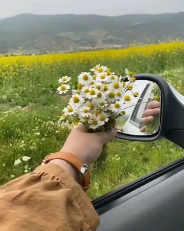 عکس پروفایل دخترونه جدید