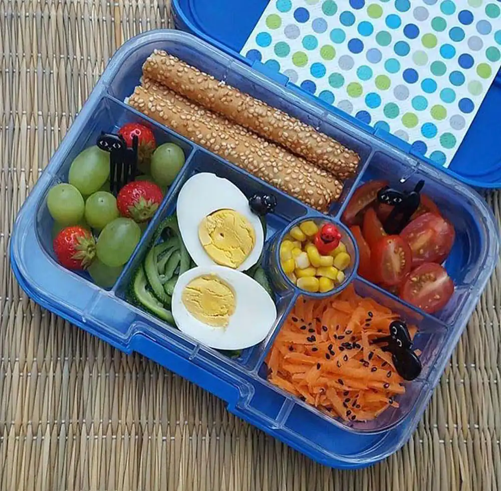 تزیین غذا برای مدرسه