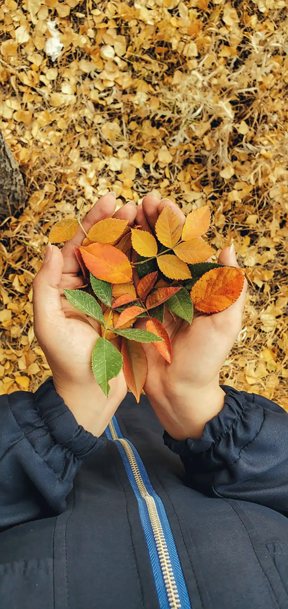 عکس پروفایل پاییزی دخترانه