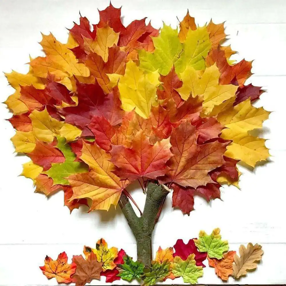کاردستی برای مدرسه
